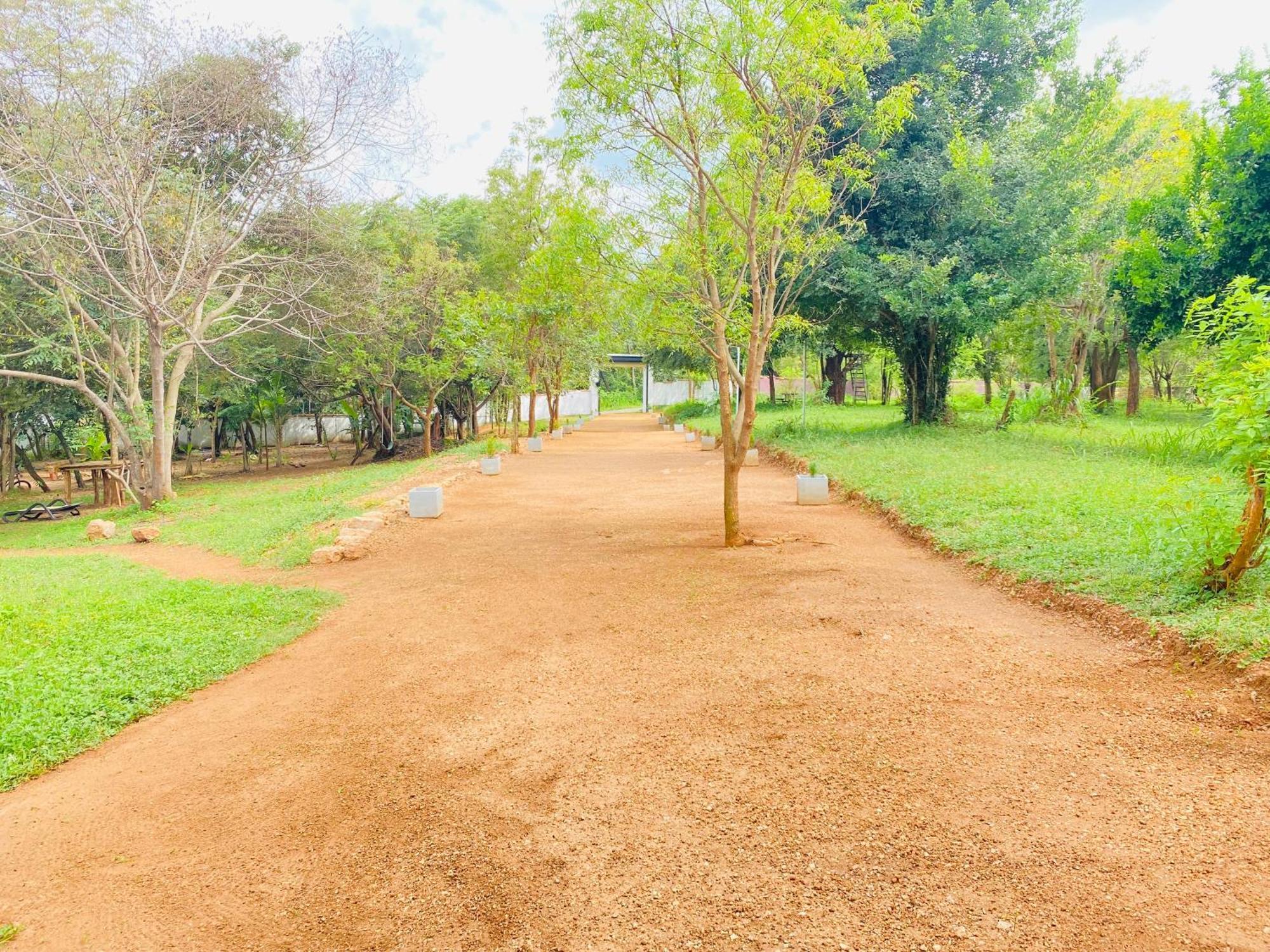 Ima Villa Sigiriya Exteriér fotografie