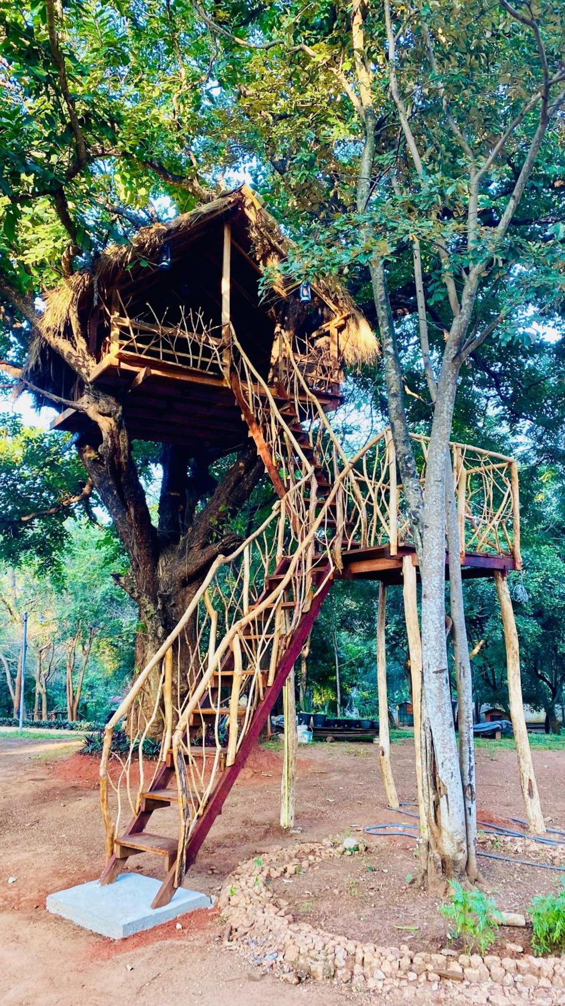 Ima Villa Sigiriya Exteriér fotografie